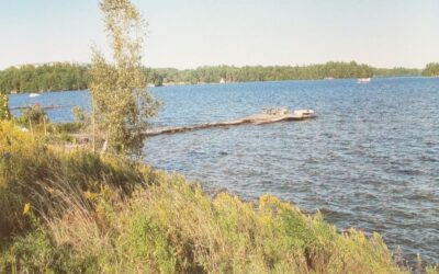 43 Cottages Sharing 470 Feet of Lake Rosseau