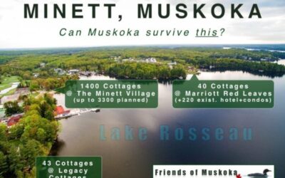 Minett. One of the major battlegrounds to Save Muskoka